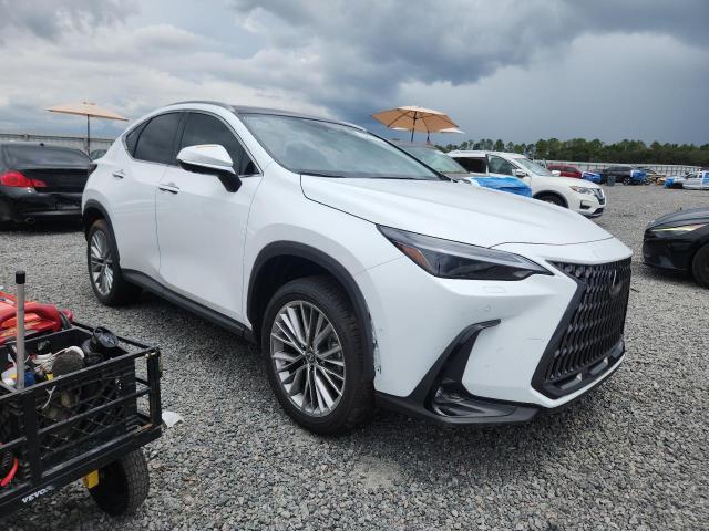 2026 Lexus Nx VIN JTJHKCEZ2T2079019 COPART salvage auction — REAR END, Fl - Cert Of Title Slvg Rebuildable, sold $28,250 on 2026-07-07 (photo 4)
