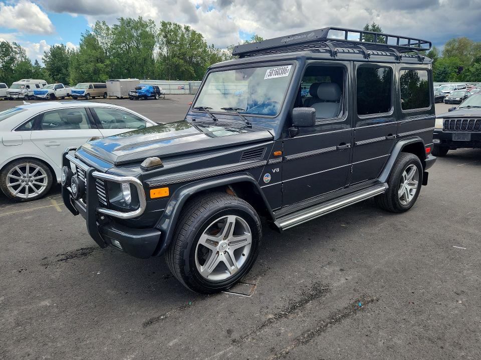 2002 Mercedes-benz G-klasse VIN WDCYR49EX2X128247 — COPART salvage auction photo