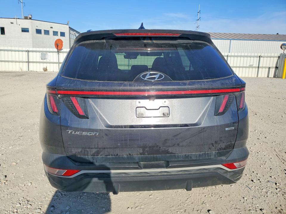 2022 Hyundai Tucson VIN 5NMJBCAE3NH080492 COPART salvage auction — HAIL, Oh - Cert Of Title-Salvage, sold $8,500 on 2026-07-31 (photo 6)