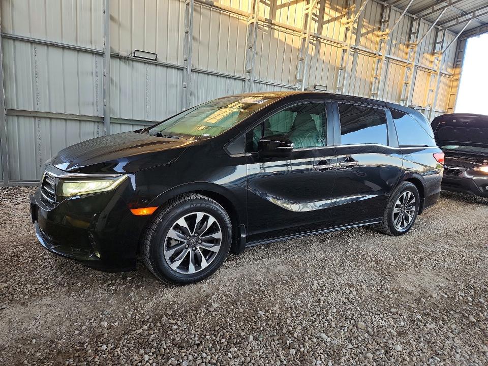 2022 Honda Odyssey VIN 5FNRL6H73NB062262 — COPART salvage auction photo