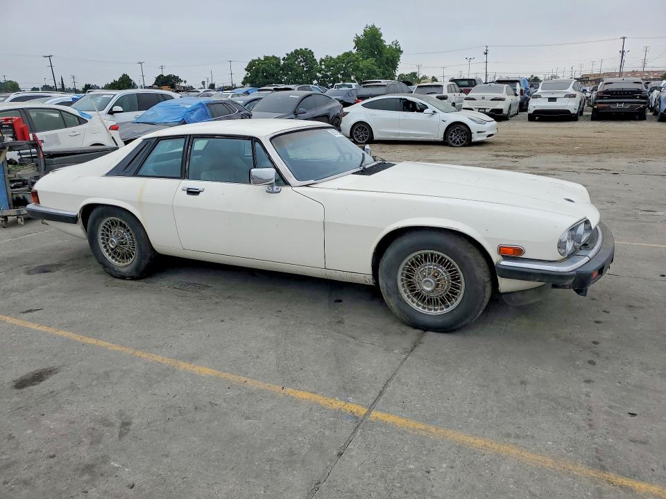 1984 Jaguar Xj series VIN SAJNV5842EC113497 COPART salvage auction — MINOR DENT/SCRATCHES, Ca - Dis/Dlr/Exp Only Clean Title, sold $1,900 on 2026-07-29 (photo 4)