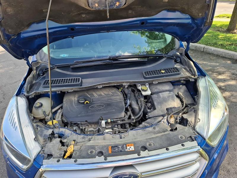 2017 Ford Escape VIN 1FMCU0GDXHUB17014 COPART salvage auction — MINOR DENT/SCRATCHES, On - Permit No Brand - Unfit (P), sold $1,500 on 2026-07-03 (photo 7)