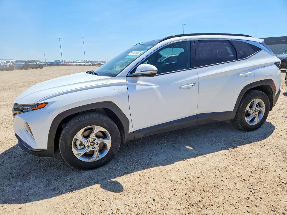 2024 Hyundai Tucson VIN KM8JCCDE9RU322091 COPART salvage auction — VANDALISM, Ab - Oop - Active, sold $800 on 2026-07-30 (photo 1)