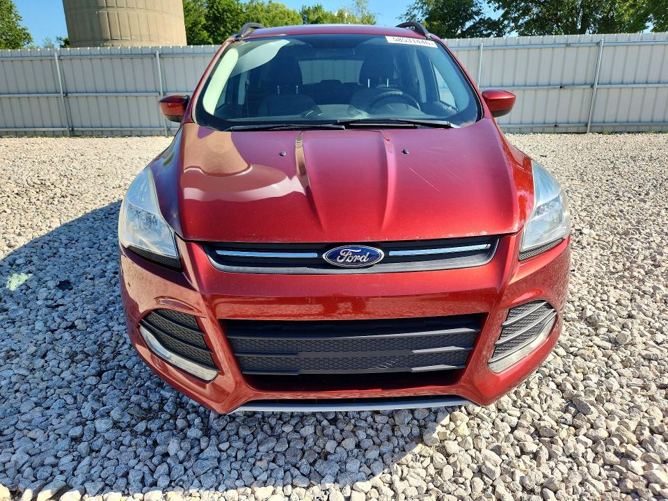2016 Ford Escape VIN 1FMCU0GX0GUB35885 COPART salvage auction — MINOR DENT/SCRATCHES, MI - DEALER ONLY CLEAN TITLE, sold $525 on 2026-07-02 (photo 5)