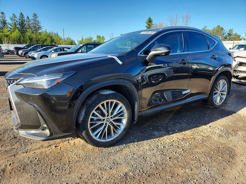 2025 Lexus Nx 350 VIN 2T2GGCEZ1SC063860 COPART salvage auction — VANDALISM, ON - PERMIT NO BRAND - UNFIT, sold $27,000 on 2026-07-15 (photo 1)