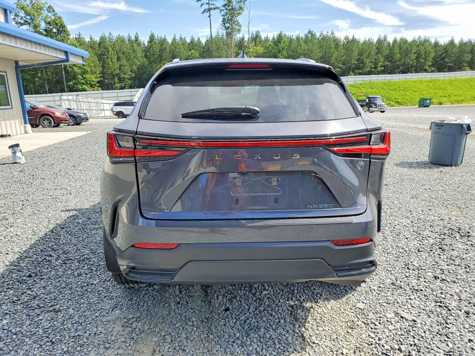 2024 Lexus Nx 250 VIN 2T2GDCAZ0RC013668 COPART salvage auction — SIDE, Nc - Salvage Certificate Of Title, sold $12,500 on 2026-09-17 (photo 6)