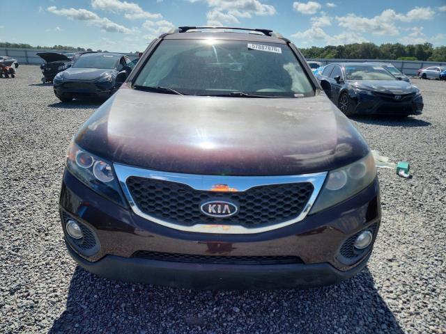 2012 Kia VIN 5XYKU4A66CG244306 COPART salvage auction — SIDE, Fl - Cert Of Title Slvg Rebuildable, sold $1,600 on 2026-07-14 (photo 5)