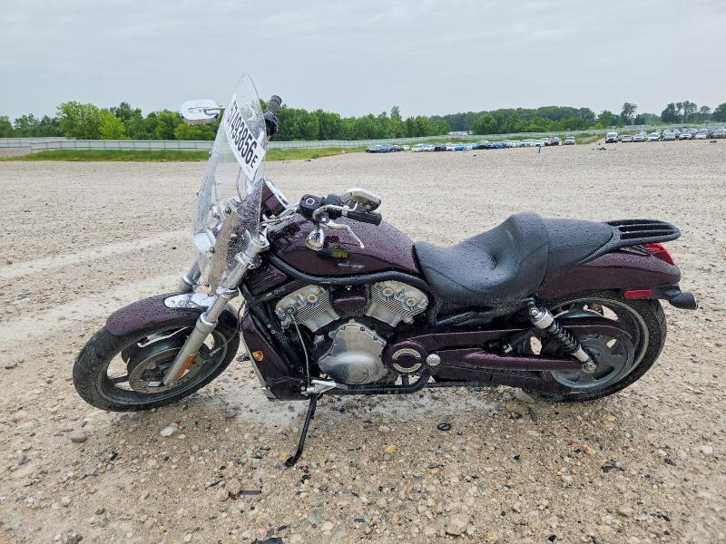 2005 Harley-davidson Night rod special VIN 1HD1HBZ115K801101 COPART salvage auction — FRONT END, Mi - Certificate Of Title, sold $1,500 on 2026-07-23 (photo 3)
