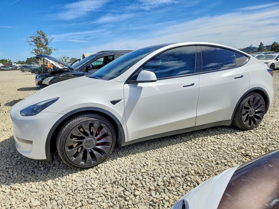 2022 Tesla Model y VIN 7SAYGDEF9NF411282 COPART salvage auction — UNDERCARRIAGE, Salvage Title, sold $11,300 on 2026-07-16 (photo 1)