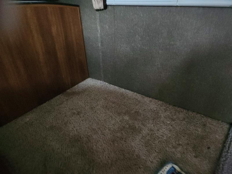 2017 Keystone rv . VIN 4YDT30324H3151710 COPART salvage auction — WATER/FLOOD, LA - CERT OF TITLE-WATER DAMAGED (P), sold $1,100 on 2026-07-28 (photo 9)