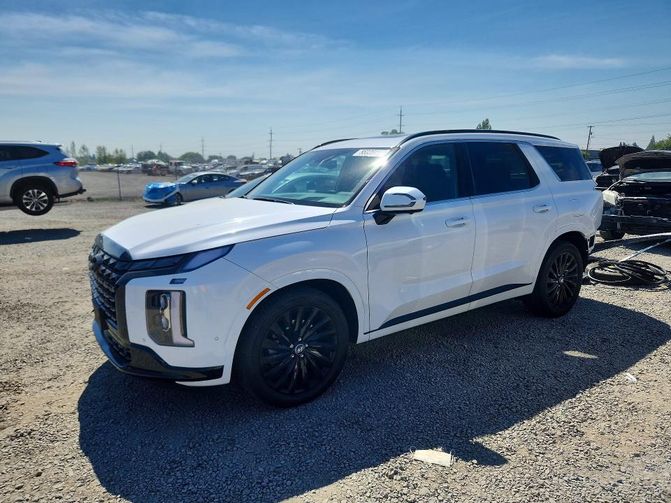 2025 Hyundai Palisade VIN KM8R7DGE3SU894109 — COPART salvage auction photo