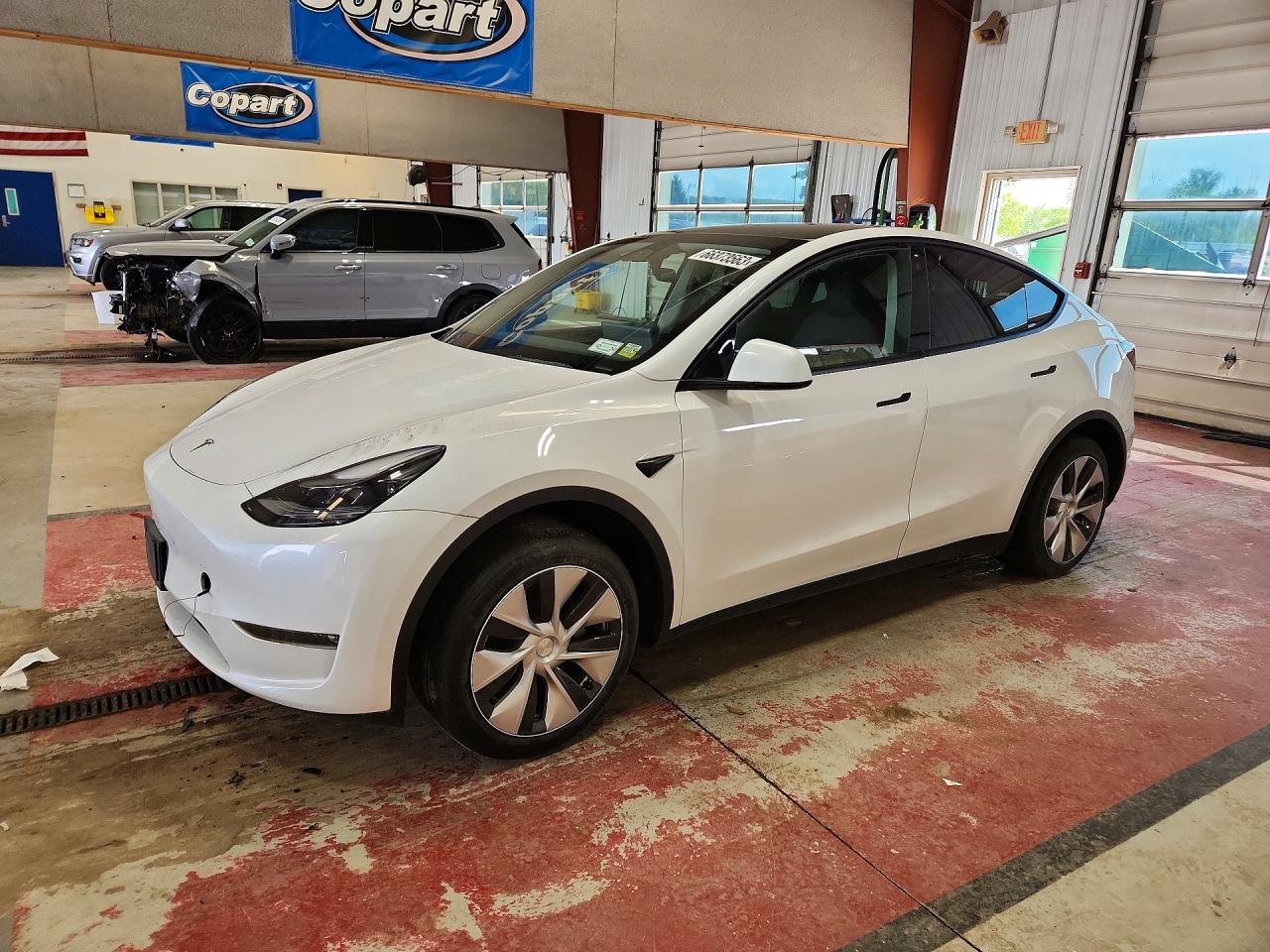 2023 Tesla Model Y VIN 7SAYGDEE7PF606971 — COPART salvage auction photo