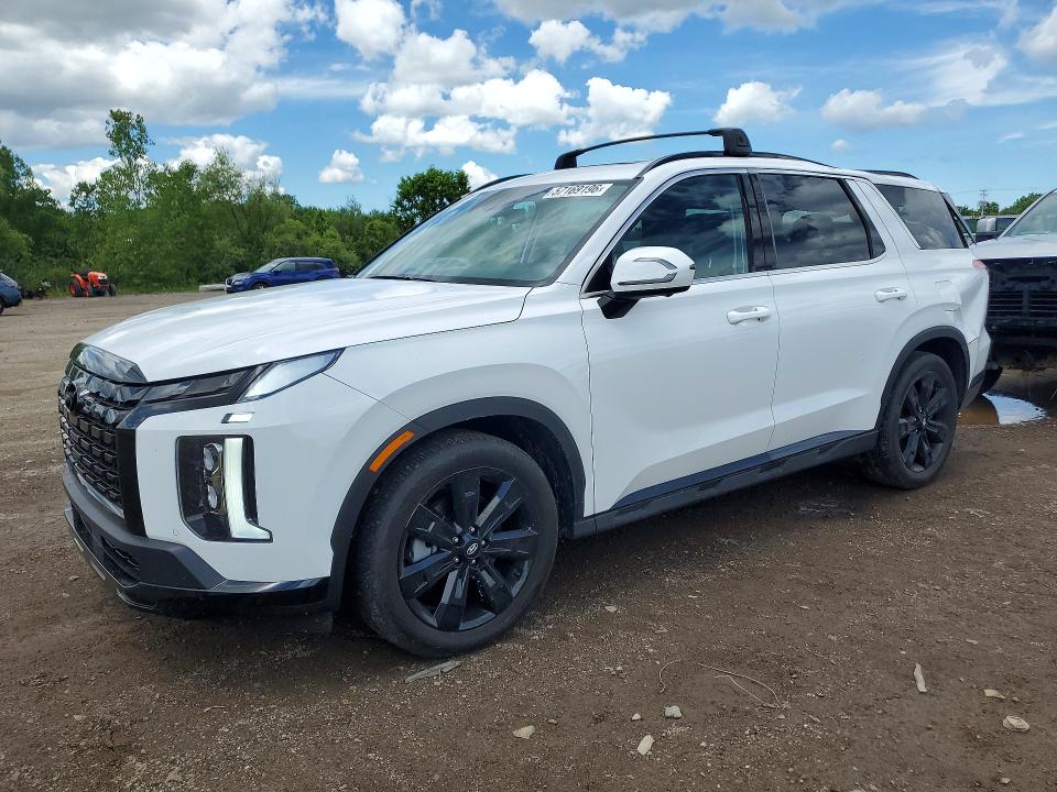 2025 Hyundai Palisade VIN KM8R3DGE3SU879945 — COPART salvage auction photo