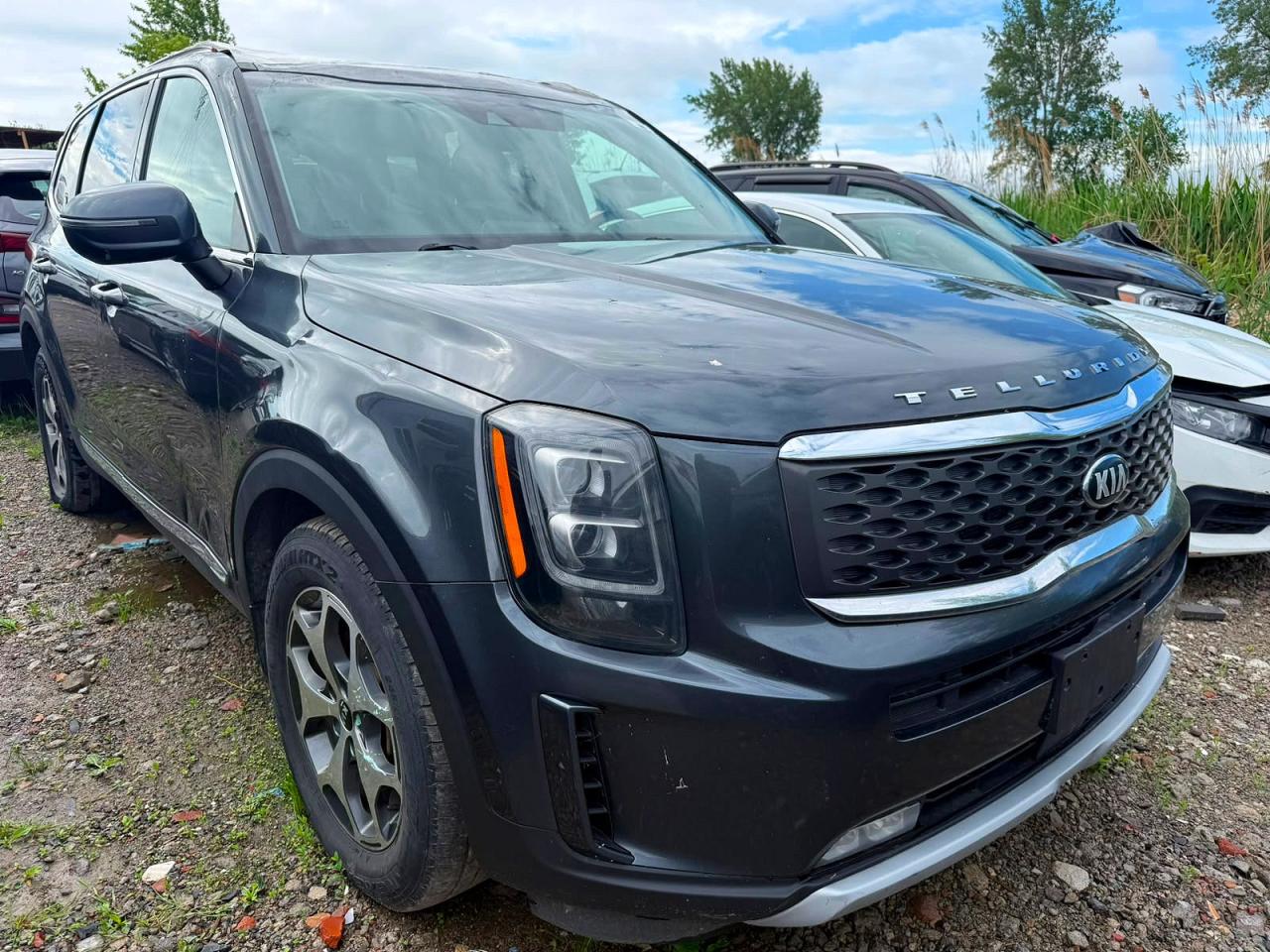 2021 Kia Telluride VIN 5XYP3DHCXMG179126 COPART salvage auction — Minor Dent/Scratches, Am - Clean Title, sold $2,550 on 2026-07-08 (photo 1)