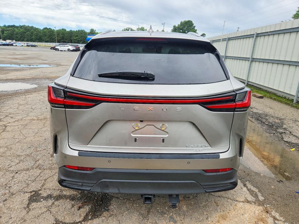 2025 Lexus VIN JTJHKCEZ1S2041022 COPART salvage auction — WATER/FLOOD, La - Cert Of Title-Salvage Flood, sold $26,750 on 2026-07-02 (photo 6)