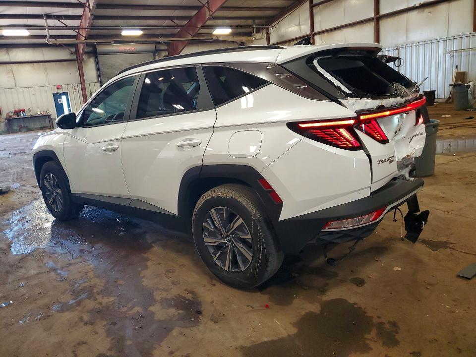2023 Hyundai Tucson VIN KM8JBCA14PU085446 COPART salvage auction — REAR END, Fl - Certificate Of Destruction, sold $7,800 on 2026-07-31 (photo 2)