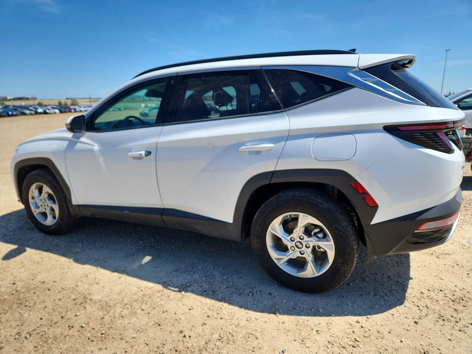 2024 Hyundai Tucson VIN KM8JCCDE9RU322091 COPART salvage auction — VANDALISM, Ab - Oop - Active, sold $800 on 2026-07-30 (photo 2)