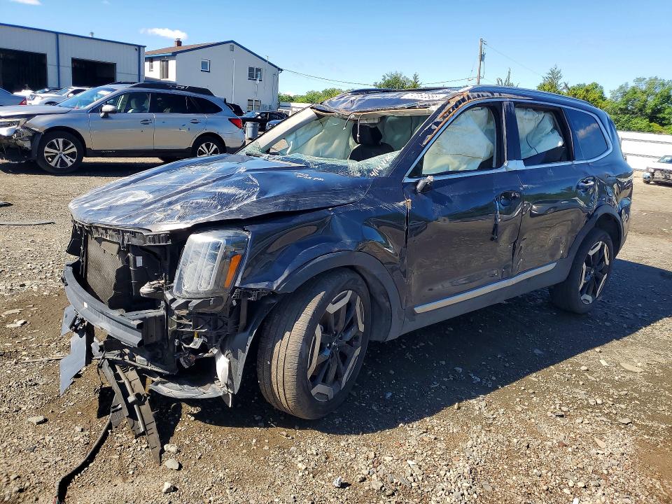2025 Kia Telluride VIN 5XYP6DGC0SG594218 — COPART salvage auction photo