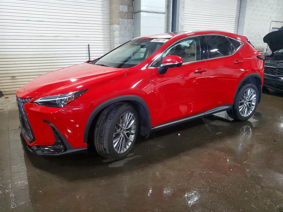 2024 Lexus NX 350 VIN 2T2HGCEZ5RC055209 — COPART salvage auction photo