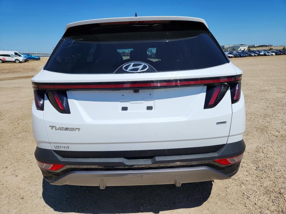 2024 Hyundai Tucson VIN KM8JCCDE9RU322091 COPART salvage auction — VANDALISM, Ab - Oop - Active, sold $800 on 2026-07-30 (photo 6)