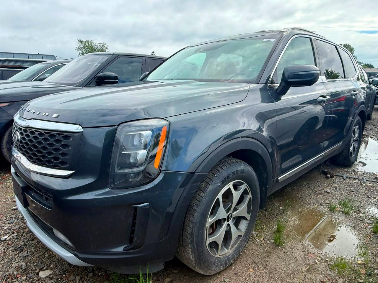2021 Kia Telluride VIN 5XYP3DHCXMG179126 COPART salvage auction — Minor Dent/Scratches, Am - Clean Title, sold $2,550 on 2026-07-08 (photo 2)