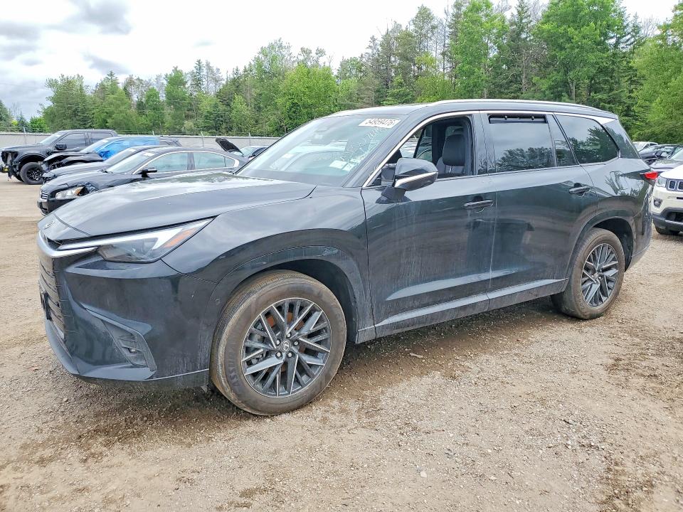2024 Lexus Tx VIN 5TDAAAB66RS007442 — COPART salvage auction photo