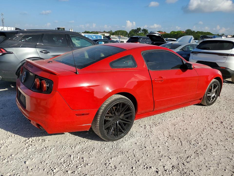 2013 Ford Mustang VIN 1ZVBP8AM3D5204298 COPART salvage auction — MINOR DENT/SCRATCHES, Fl - Certificate Of Title, sold $1,300 on 2026-07-02 (photo 3)
