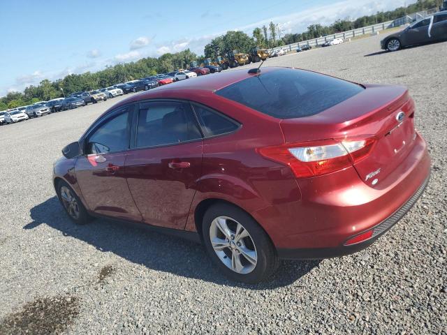 2019 Ford Focus VIN 1FADP3F2XDL187426 COPART salvage auction — NORMAL WEAR, Fl - Certificate Of Title, sold $775 on 2026-07-31 (photo 2)