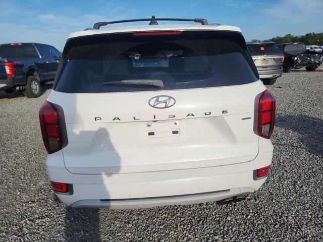 2022 Hyundai Palisade VIN KM8R5DHE5NU401636 COPART salvage auction — SIDE, Fl - Certificate Of Destruction, sold $90 on 2026-07-31 (photo 6)