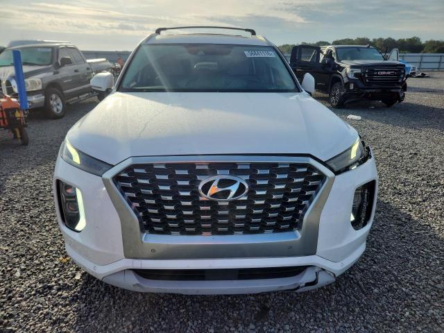 2022 Hyundai Palisade VIN KM8R5DHE5NU401636 COPART salvage auction — SIDE, Fl - Certificate Of Destruction, sold $90 on 2026-07-31 (photo 5)