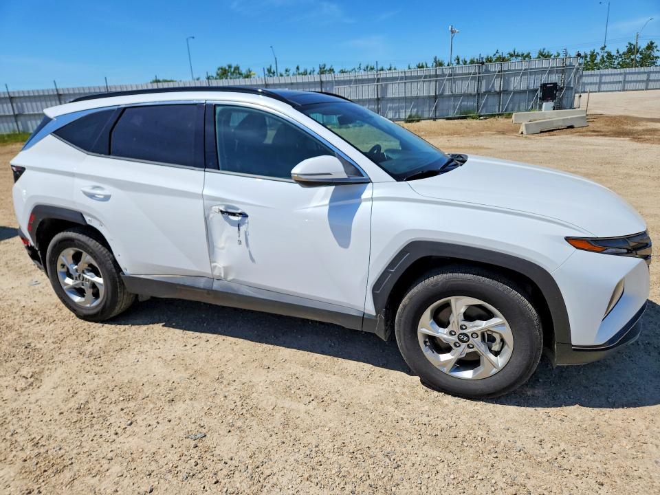 2024 Hyundai Tucson VIN KM8JCCDE9RU322091 COPART salvage auction — VANDALISM, Ab - Oop - Active, sold $800 on 2026-07-30 (photo 4)