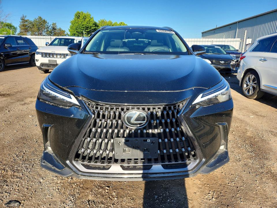 2025 Lexus Nx 350 VIN 2T2GGCEZ1SC063860 COPART salvage auction — VANDALISM, ON - PERMIT NO BRAND - UNFIT, sold $27,000 on 2026-07-15 (photo 5)