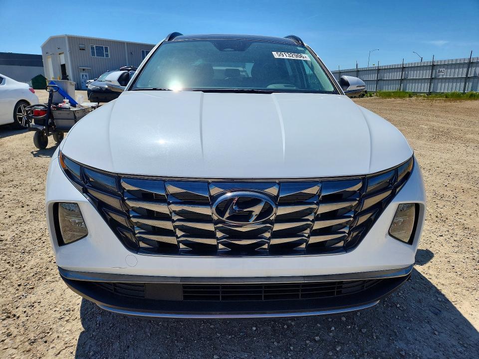 2024 Hyundai Tucson VIN KM8JCCDE9RU322091 COPART salvage auction — VANDALISM, Ab - Oop - Active, sold $800 on 2026-07-30 (photo 5)