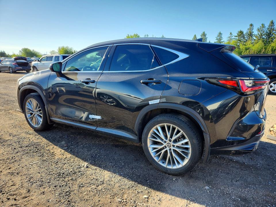 2025 Lexus Nx 350 VIN 2T2GGCEZ1SC063860 COPART salvage auction — VANDALISM, ON - PERMIT NO BRAND - UNFIT, sold $27,000 on 2026-07-15 (photo 2)