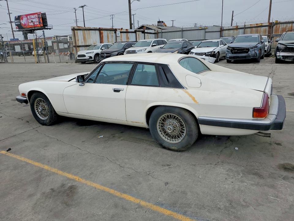 1984 Jaguar Xj series VIN SAJNV5842EC113497 COPART salvage auction — MINOR DENT/SCRATCHES, Ca - Dis/Dlr/Exp Only Clean Title, sold $1,900 on 2026-07-29 (photo 2)