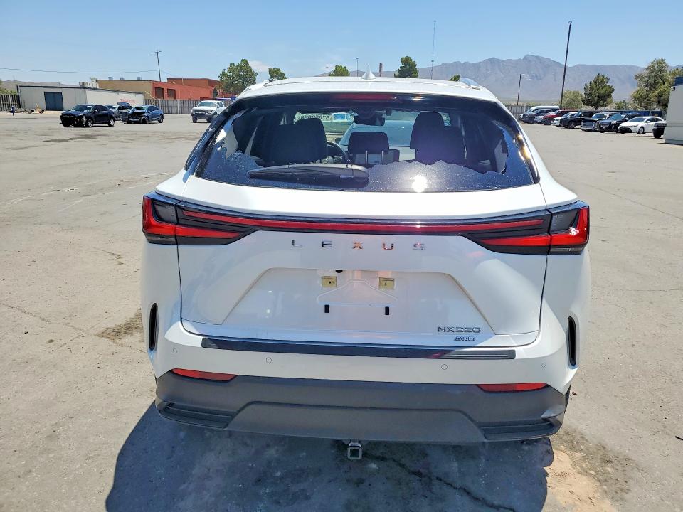 2023 Lexus Nx VIN JTJGGCEZ3P5005433 COPART salvage auction — FRONT END, Tx - Salvage Vehicle Title, sold $15,300 on 2026-07-06 (photo 6)
