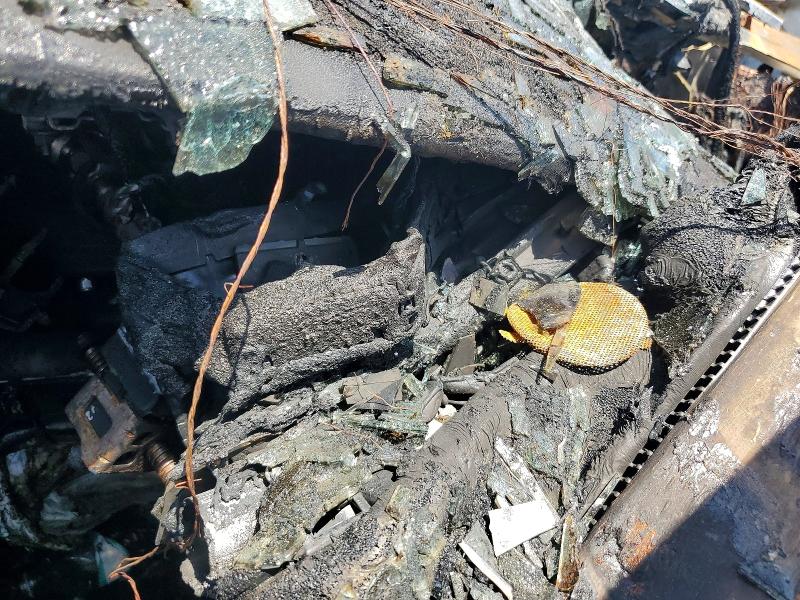 2019 Tesla Model 3 VIN 5YJ3E1EB2KF418529 COPART salvage auction — BURN, Fl - Certificate Of Destruction, sold $300 on 2026-07-31 (photo 9)