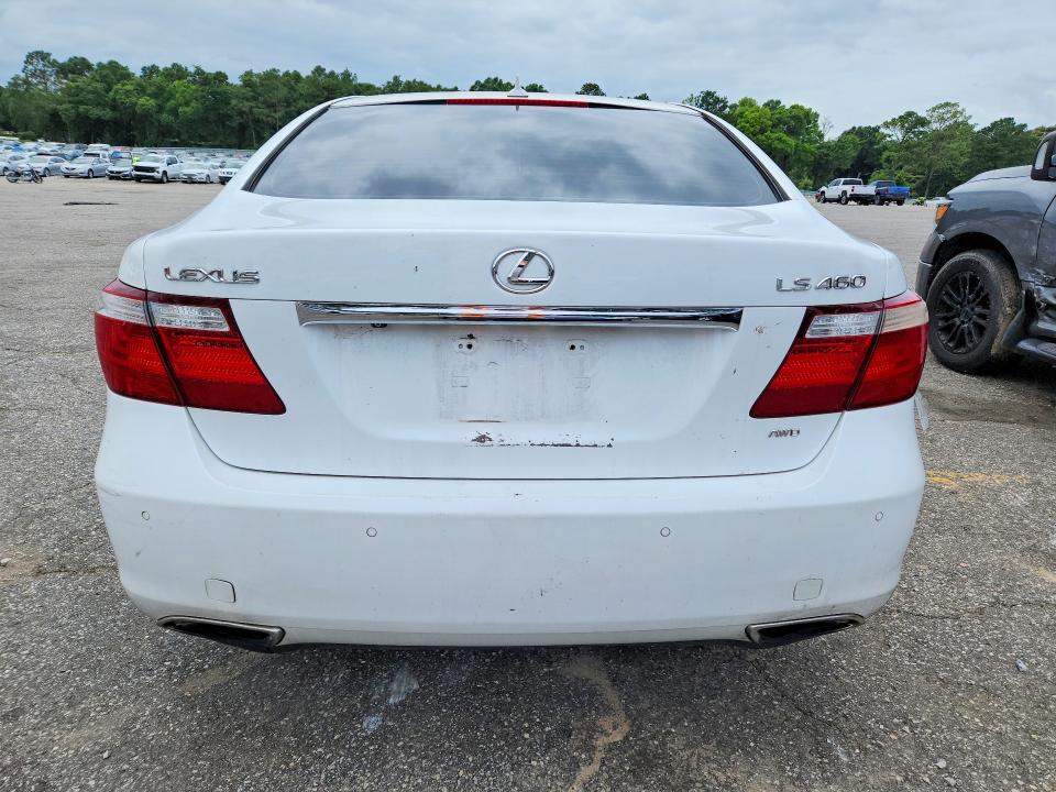 2009 Lexus Ls VIN JTHCL46F095002966 COPART salvage auction — SIDE, Al - Cert Of Title-Salvage Title, sold $725 on 2026-07-27 (photo 6)