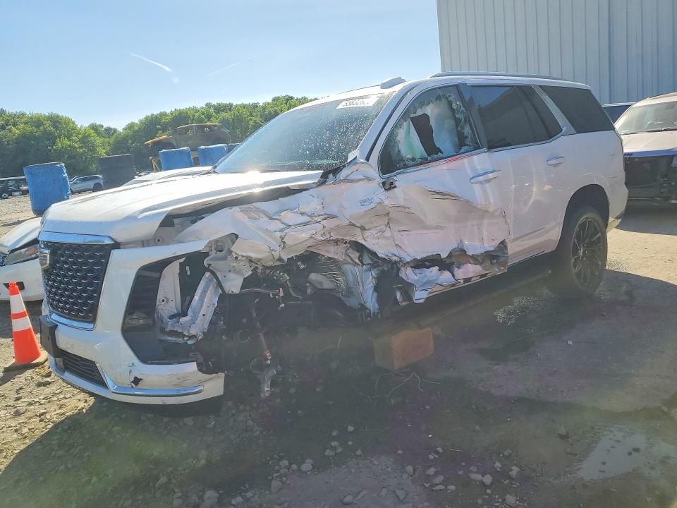 2025 Cadillac VIN 1GYS9BRL0SR386273 — COPART salvage auction photo