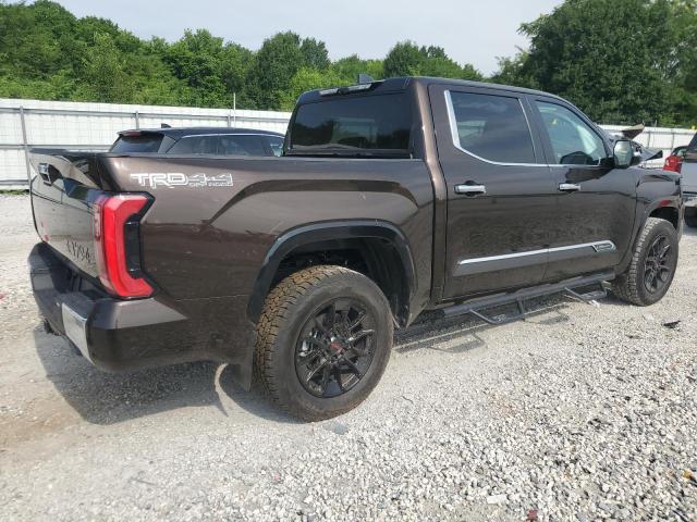 2025 Toyota Tundra VIN 5TFMA5DB5SX254868 COPART salvage auction — FRONT END, Ar - Cert Of Title-Salvage, sold $300 on 2026-07-29 (photo 3)