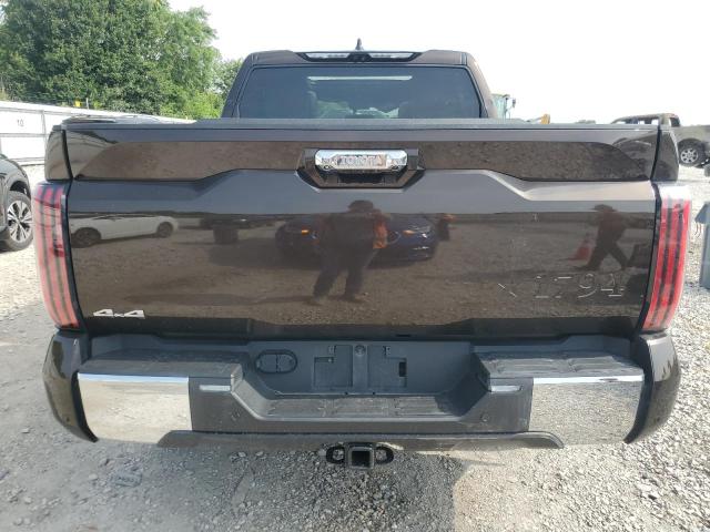 2025 Toyota Tundra VIN 5TFMA5DB5SX254868 COPART salvage auction — FRONT END, Ar - Cert Of Title-Salvage, sold $300 on 2026-07-29 (photo 6)
