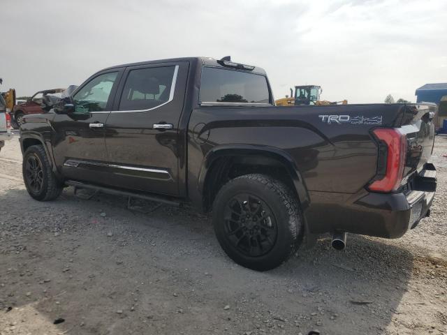 2025 Toyota Tundra VIN 5TFMA5DB5SX254868 COPART salvage auction — FRONT END, Ar - Cert Of Title-Salvage, sold $300 on 2026-07-29 (photo 2)