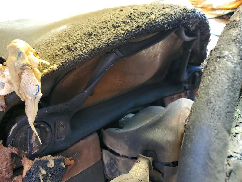 1998 BMW 5er VIN WBADE632XWBW59667 COPART salvage auction — BURN, Ca - Salvage Certificate, sold $175 on 2026-08-03 (photo 9)