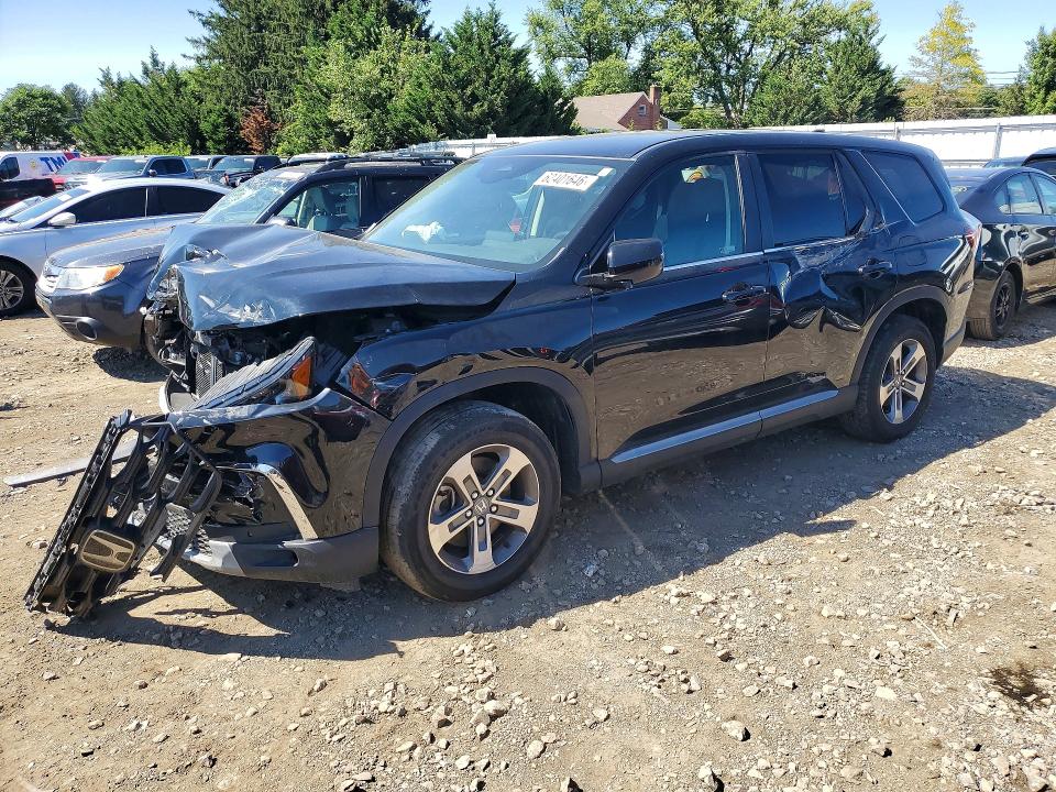 2024 Honda Pilot VIN 5FNYG1H59RB026647 — COPART salvage auction photo
