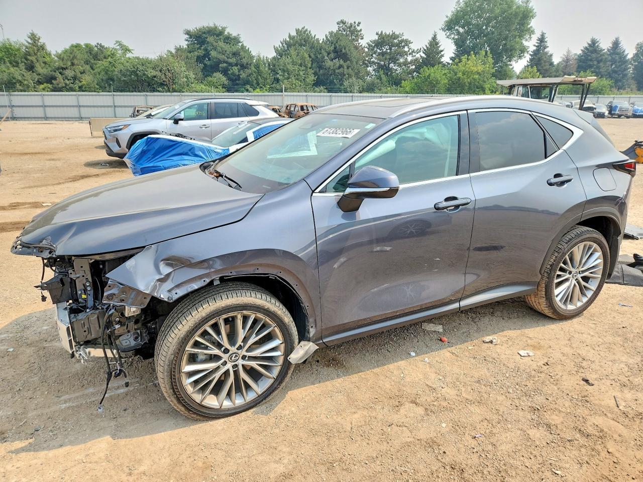 2025 Lexus NX 350 VIN 2T2GGCEZ5SC066650 — COPART salvage auction photo
