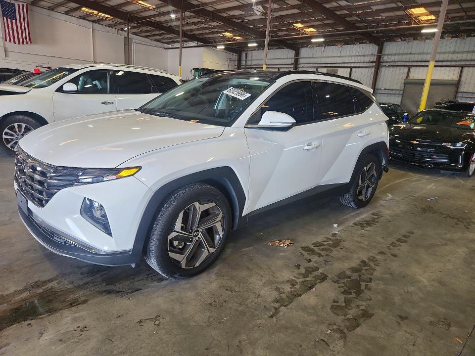 2023 Hyundai Tucson — VIN 5NMJE3AE3PH236895
