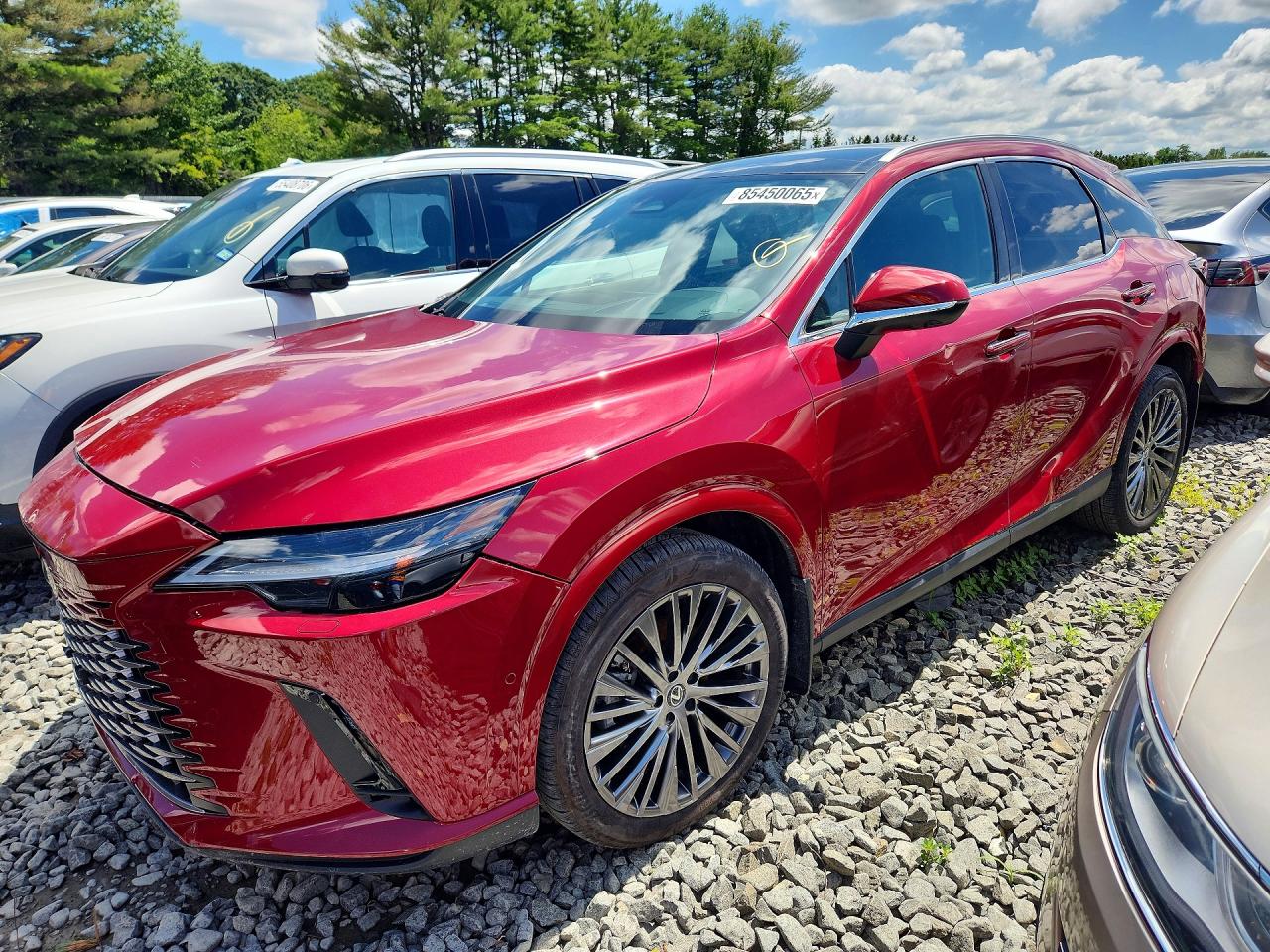 2024 Lexus RX 350 VIN 2T2BAMCA4RC069760 — COPART salvage auction photo