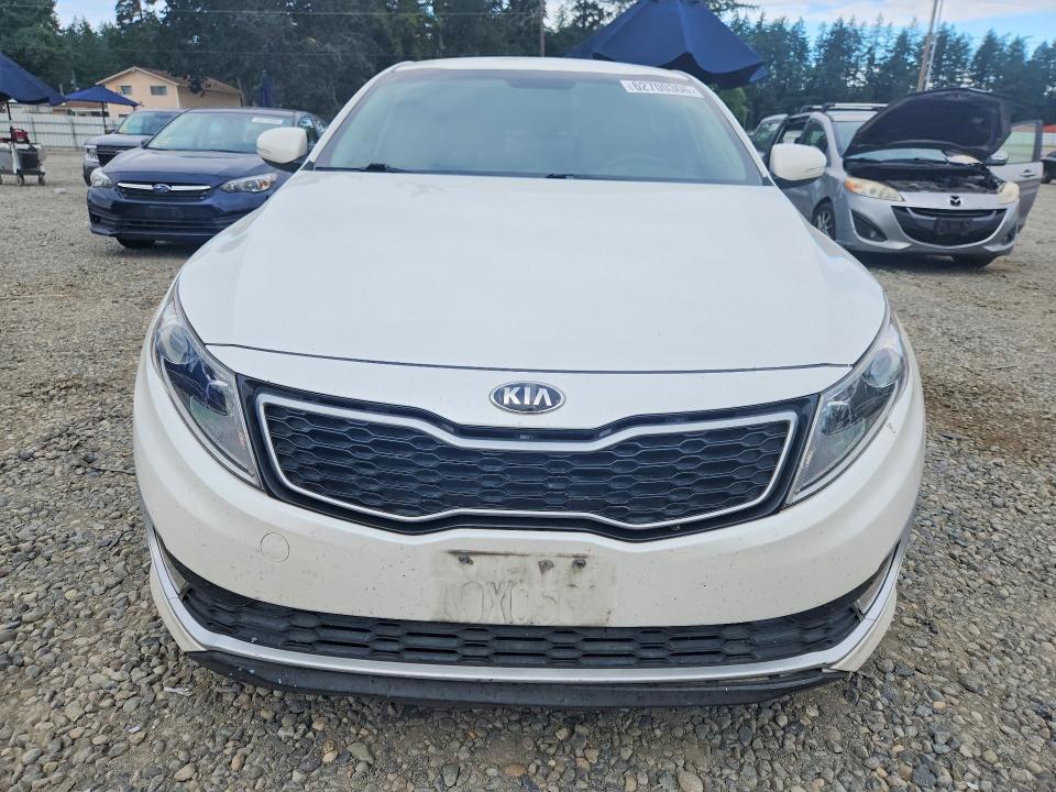2012 Kia Optima VIN KNAGM4AD6C5026859 COPART salvage auction — REAR END, WA - BILL OF SALE, sold $475 on 2026-07-31 (photo 5)