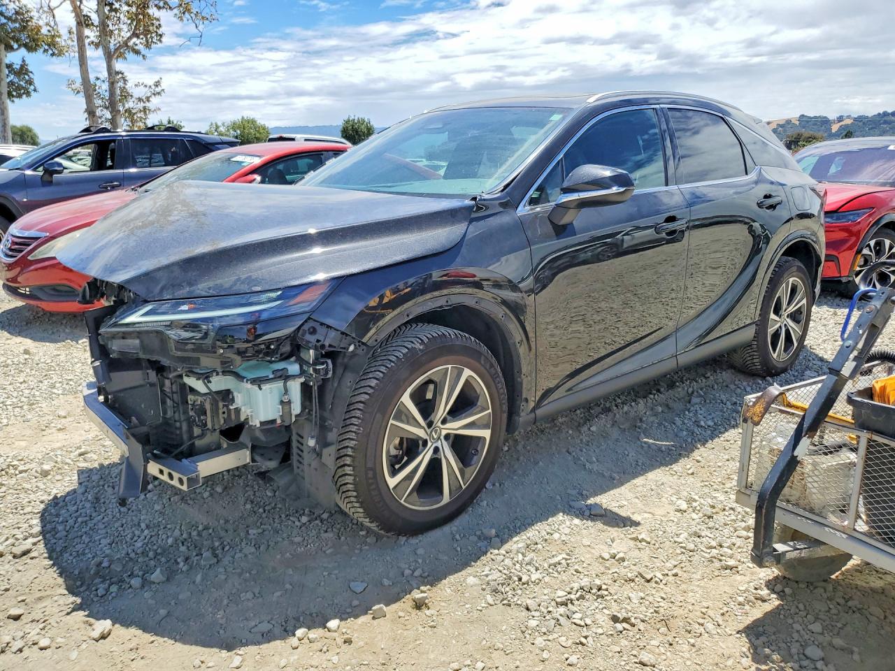 2023 Lexus RX 350 VIN 2T2BAMCA0PC007673 — COPART salvage auction photo