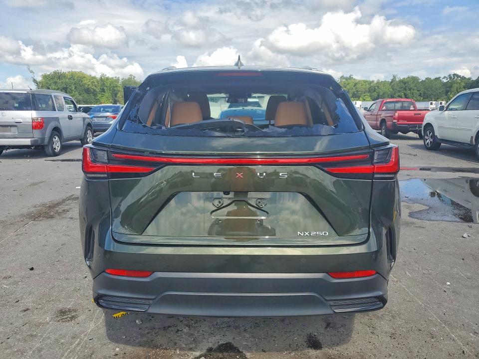 2025 Lexus Nx VIN 2T2GDCAZ2SC020935 COPART salvage auction — SIDE, Fl - Certificate Of Destruction, sold $12,900 on 2026-08-31 (photo 6)